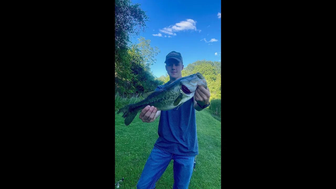 Big Bass