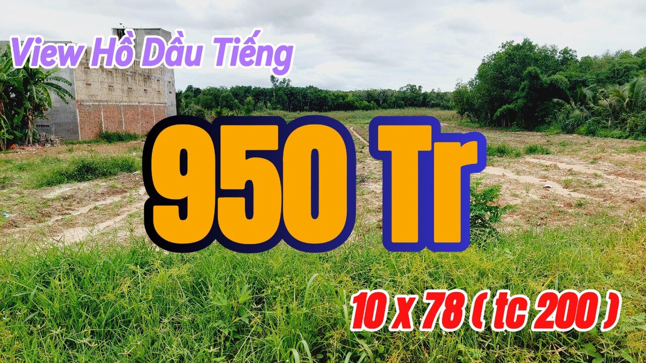 Đất Dầu Tiếng | View Hồ dầu Tiếng 10 x 78 ( Tc 200) Giá ngộp#572