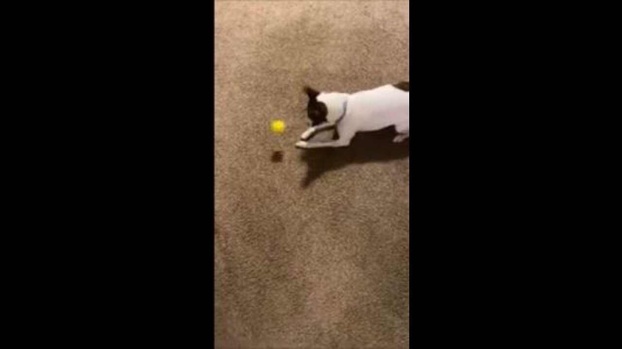 Princess found a yellow ball