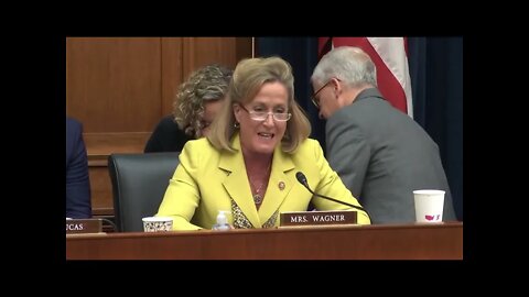 Wagner Questions Witnesses at Hearing on Inflation