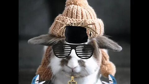 Mi conejito presumido