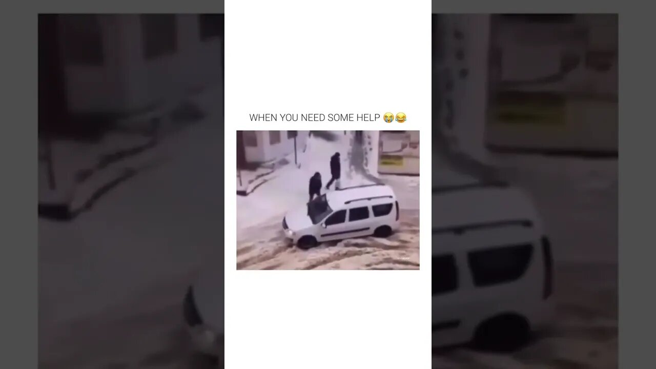 Lol they really helped! #shorts #shortvideo #subscribe #reels #funny #viralreels #viral