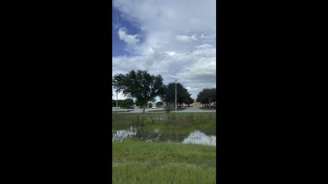 Drives In Paradise - Rainbow Edition #4K #DolbyVision #HDR