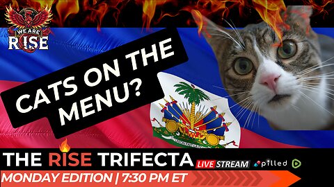 Culinary Controversy: Feline Cuisine, Debate or Not to Debate?