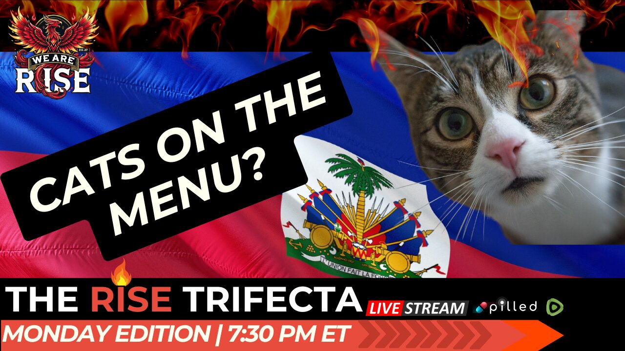 Culinary Controversy: Feline Cuisine, Debate or Not to Debate?