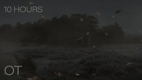 A Windy Cold Night on the Edge of the Forest | Blowing Leaves & Atmospheric Sounds | 10 HOURS