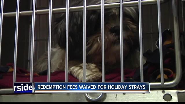 Fee waived for strays brought in during holiday