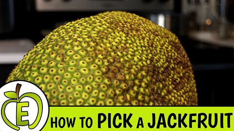 How to Pick a Ripe Jackfruit