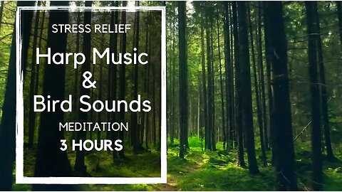 Stress-Relieving Meditation Music: 3 Hours of Soothing Harp and Bird Sounds 🎵