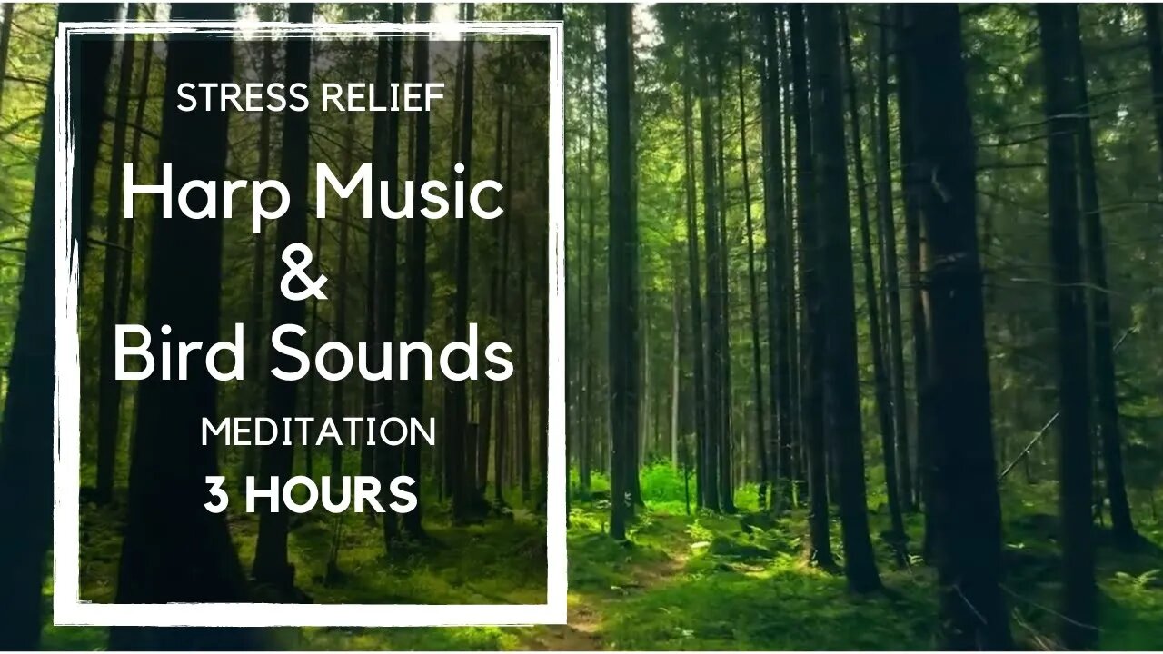 Stress-Relieving Meditation Music: 3 Hours of Soothing Harp and Bird Sounds 🎵