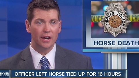 Denver police horse dies after cop forgets it