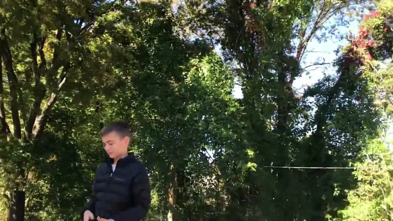 LonelyCreek doggy lesson. Teaching to set