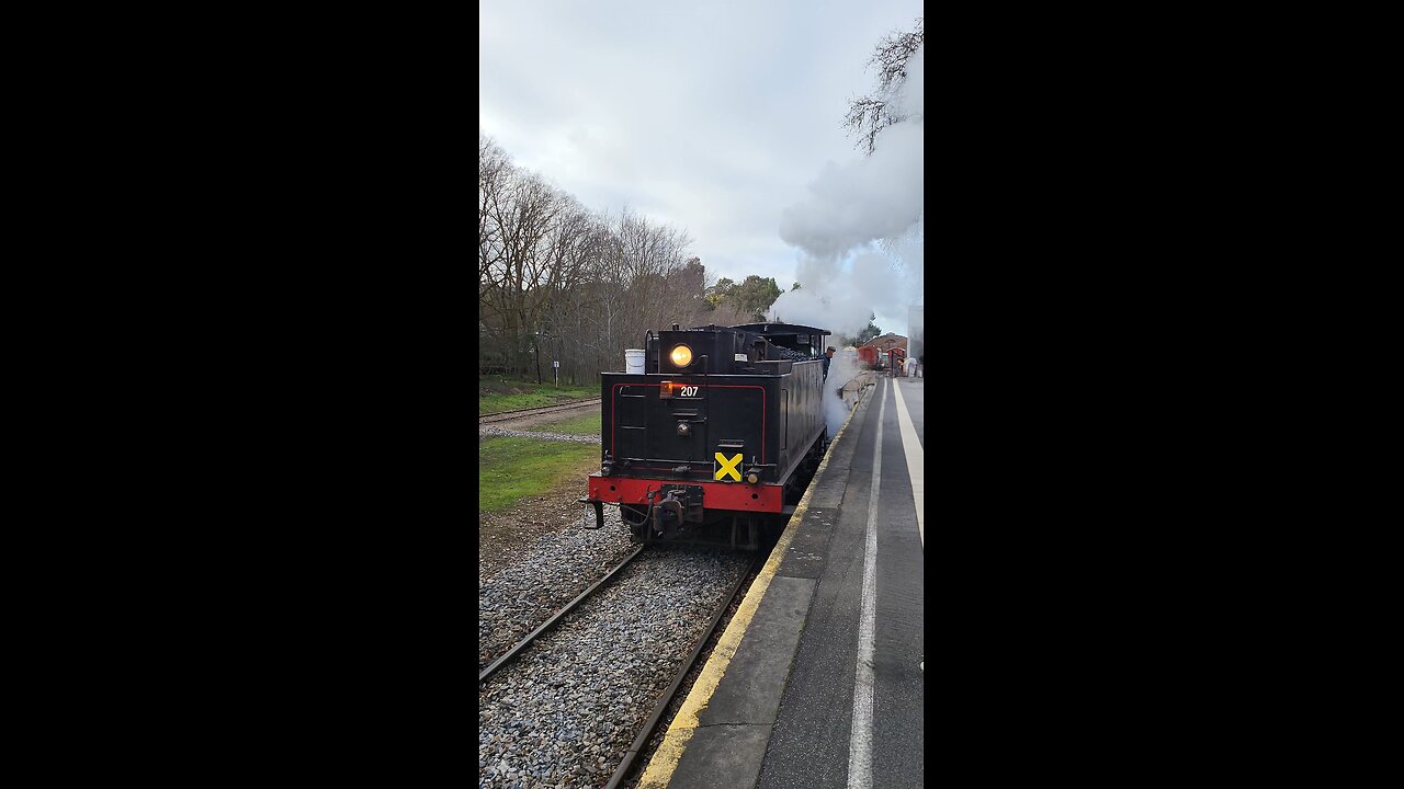 The Cockle Train