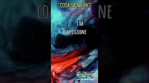 Pillole di Modellismo Costruzione di modelli di veicoli da competizione
