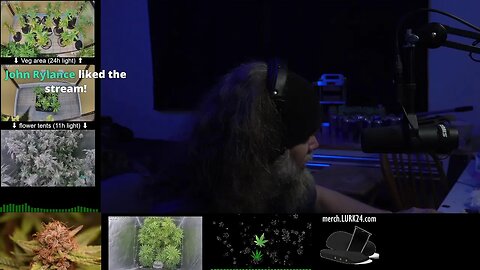 mental motivation (and bong hits)