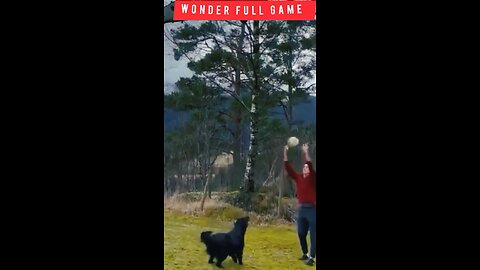 This Dog 's got a better Ball control🐕‍🦺😱 #viralshorts