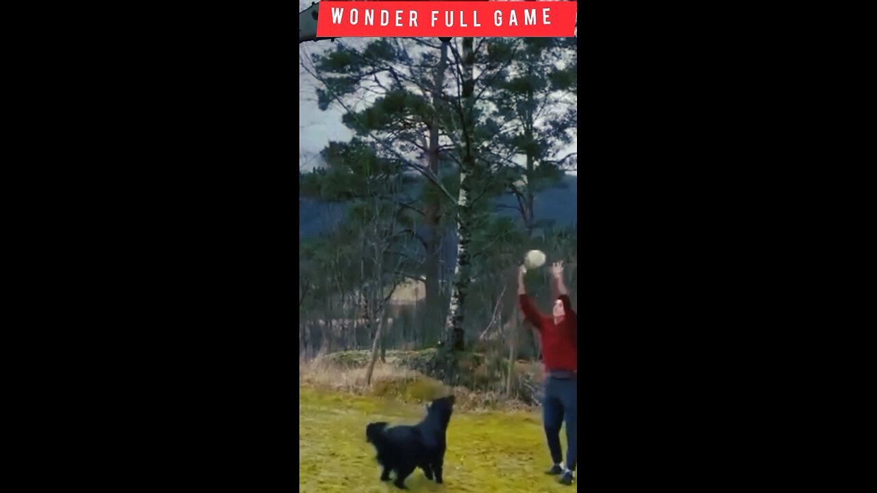 This Dog 's got a better Ball control🐕🦺😱 #viralshorts