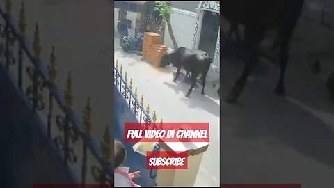 Disturbing Footage #disturbing #footage