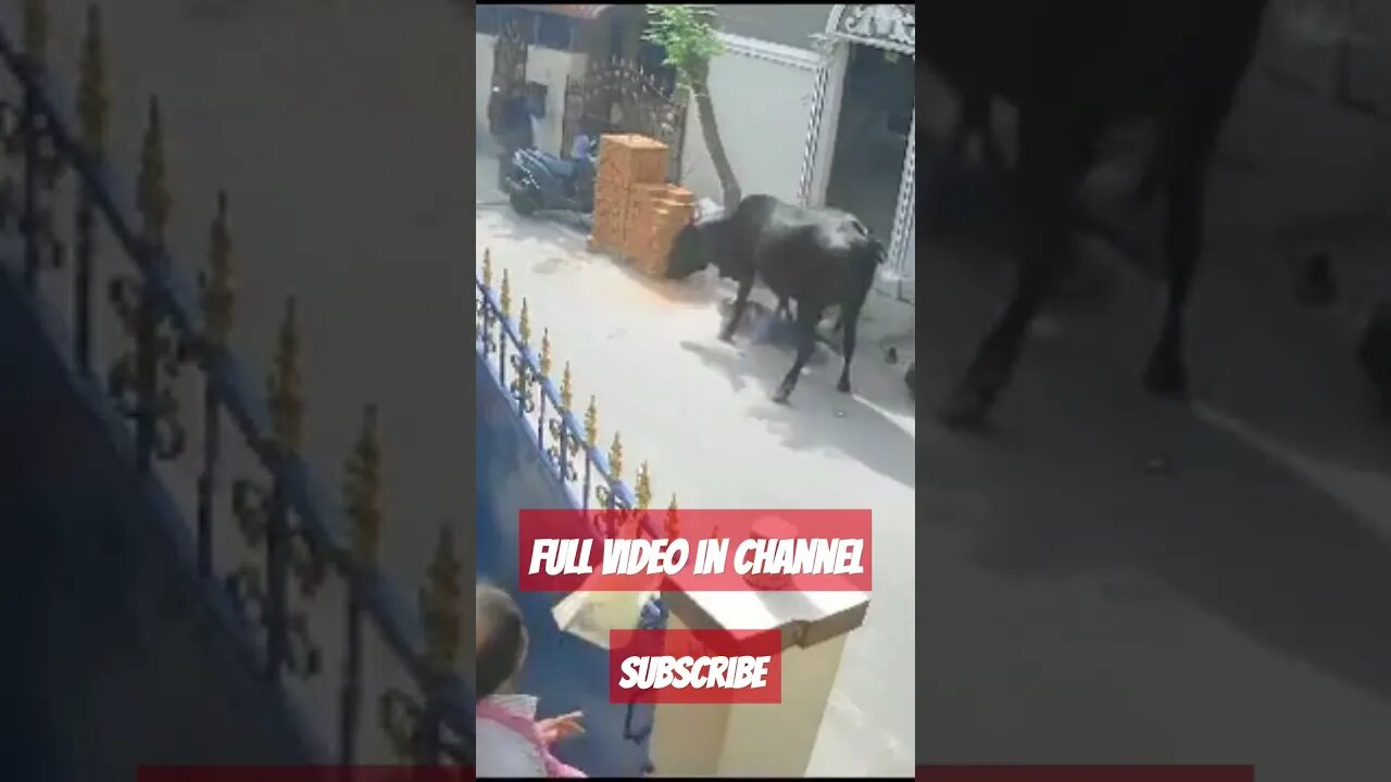 Disturbing Footage #disturbing #footage