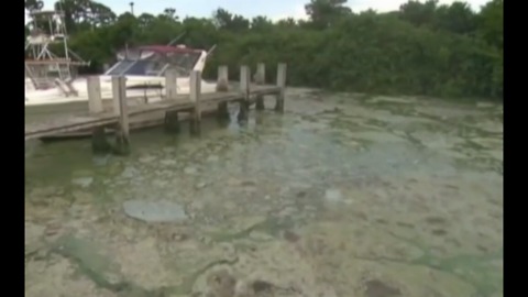 ACLU: State put public health at risk during 2016 algae crisis