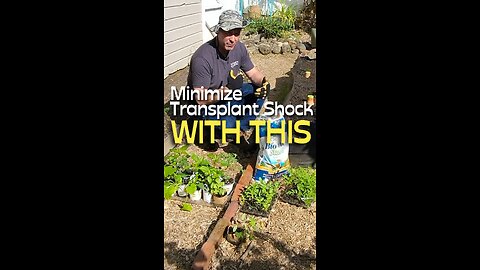 Prevent Transplant Shock with This Easy Garden Tip