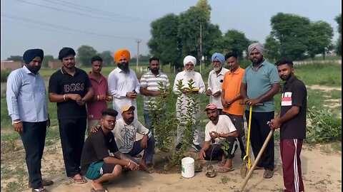 save tree save life
