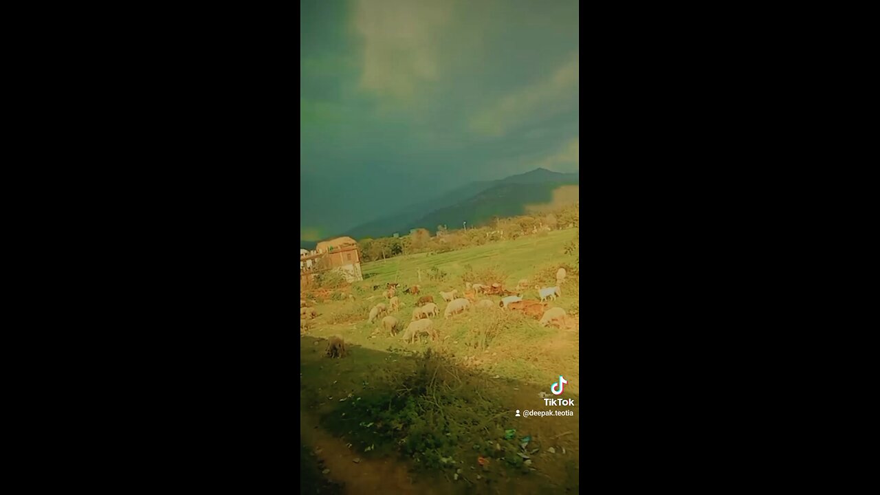 Wonderful view by running train....