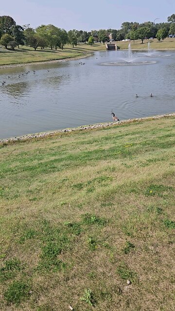 This Place is for the Birds