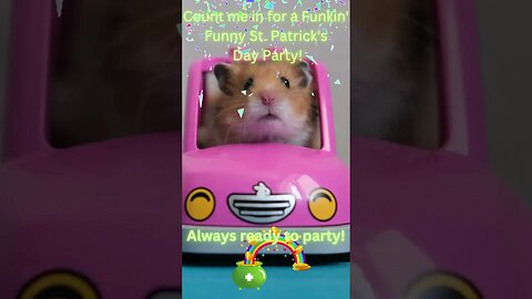 St. Patrick's Day Funkin' Funny Fun! #shorts