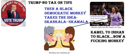 Kamala is now a MONKEY--SEE MONKEY DO-SKANKALA