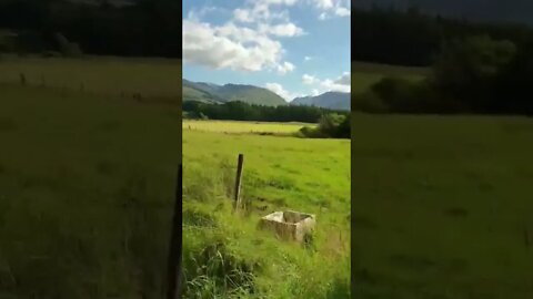 The Grey Corries in the distance...