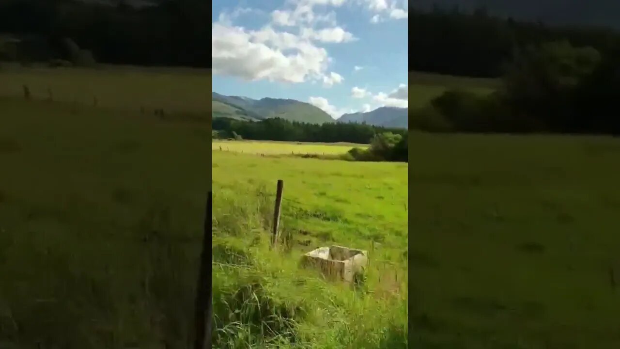 The Grey Corries in the distance...