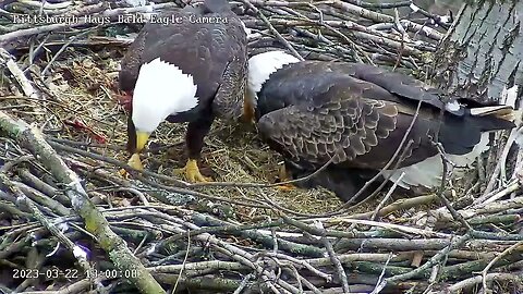 Hays Eagles Dad brings in Stick Blocker 3.22.23 13:00