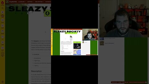 Sleazy Society Shorts - Agogwe 002 - #shorts