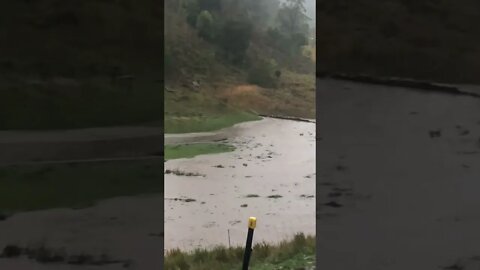Flash flood