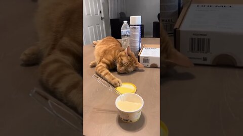 HOW DID HE DO THIS???