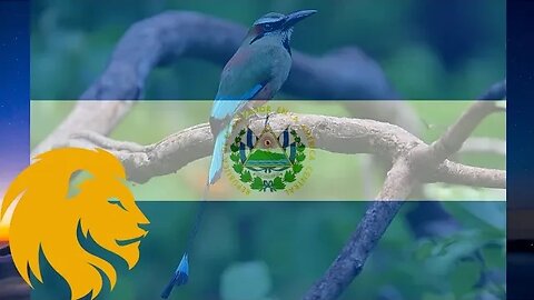 National Anthem Of El Salvador 🇸🇻 *Himno Nacional De El Salvador* Instrumental Version