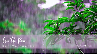 Gentle Rain | Ken Verheecke