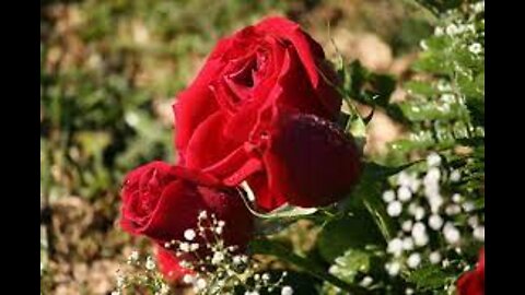 Calm your nerves and enjoy seeing the best