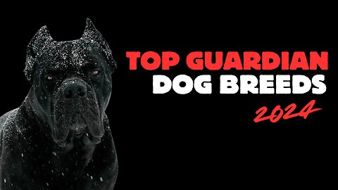 Top 10 Guard Dog Breeds and Their History - Part 1