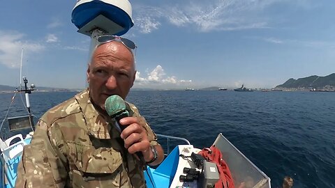 British Warship and Dolphins today.