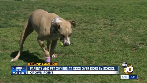 Parents and pet owners at odds over dogs by school