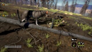 the Hunter: Call of the Wild - REVENGE!