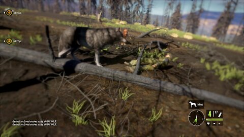 the Hunter: Call of the Wild - REVENGE!