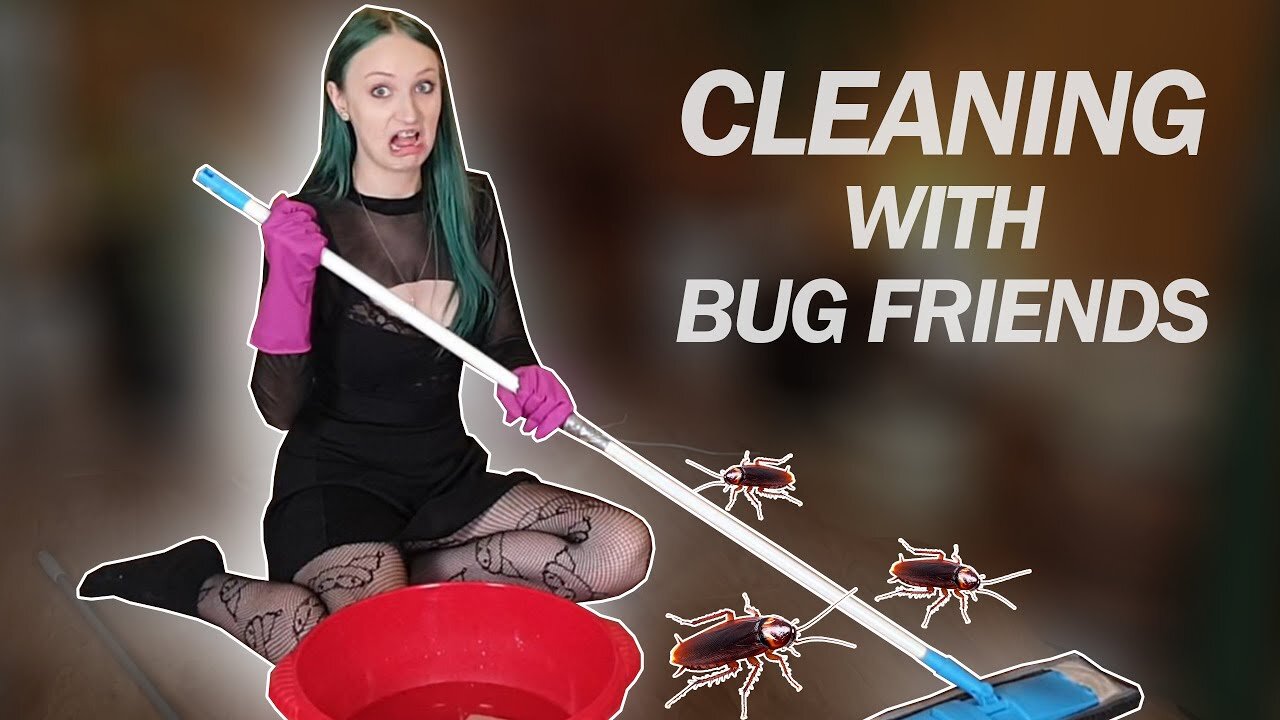 Shock cleaning: Bugs really don't want to leave my house!