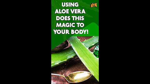 What Does Aloe Vera Do To Your Body? *