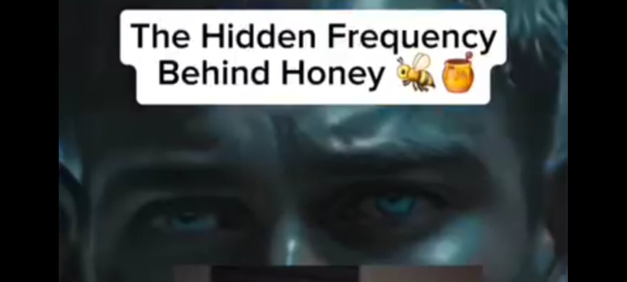 THE HIDDEN FREQUENCY BEE-HIND HONEY
