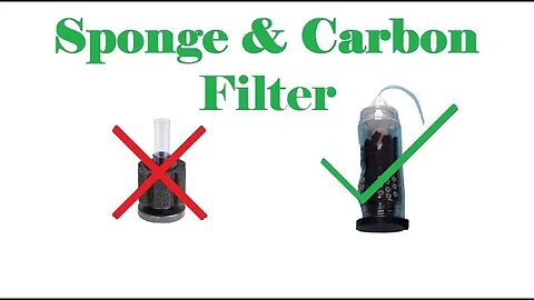 Sponge Filter with Carbon