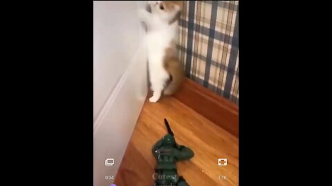 Cute cat 🐱 cute dog 🐕|funny cat||funny dog|