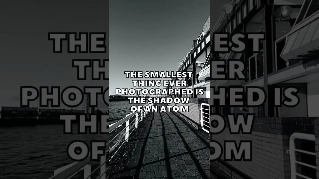 Incredible Random Facts That Will Expand Your Mind! [2023] #shorts #facts #viralshorts #fyp #life